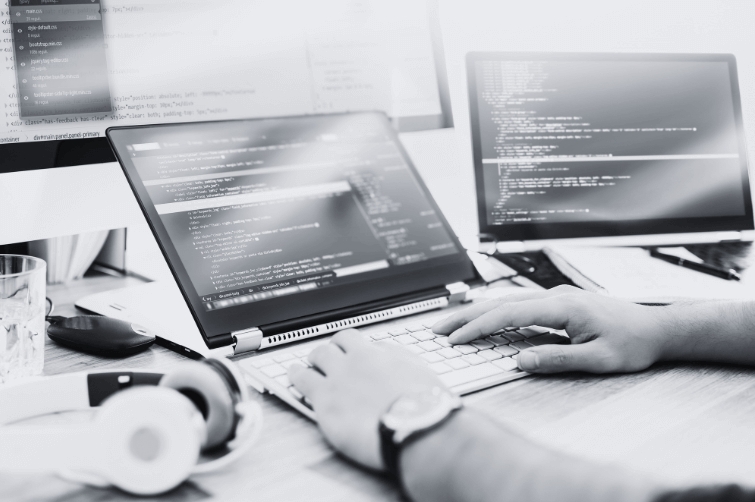 Development Shopify Development Shopify